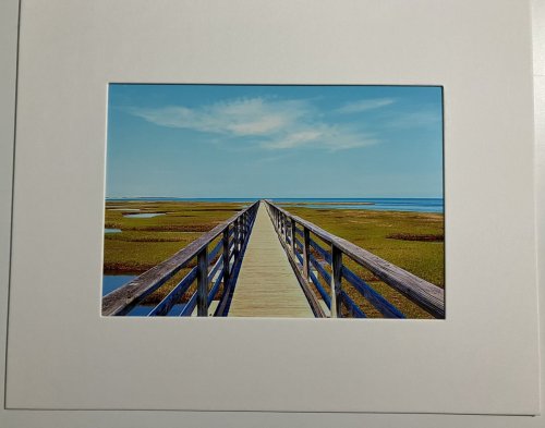 Boardwalk over Marsh in Cape Cod Photograph