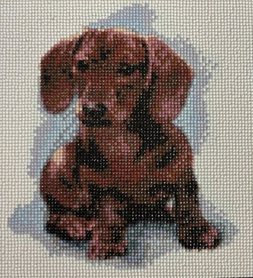 Dachshund Diamond Painting 