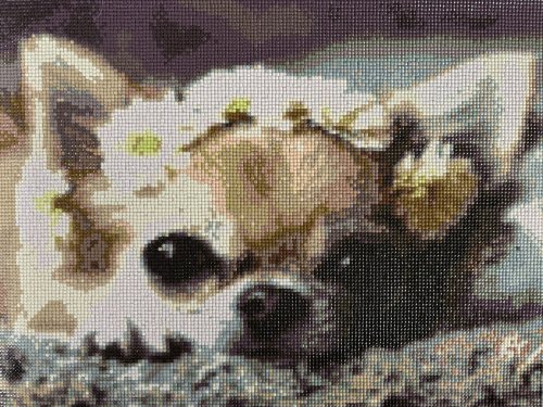 Chihuahua Diamond Painting 