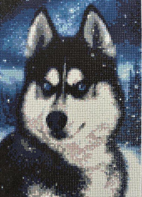 Husky Diamond Painting