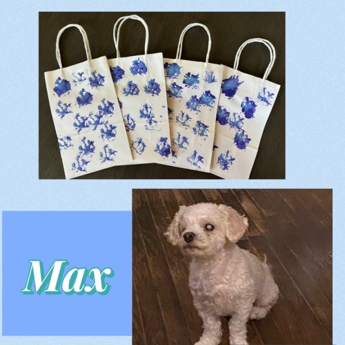 Paw Print Gift Bags by Forever Foster, Max