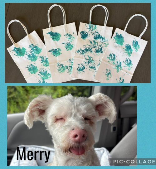 Paw Print Gift Bags by former BDRA girl, Merry