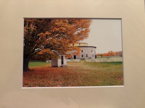 Hancock Shaker Village, Autumn Tree, Pittsfield, MA
